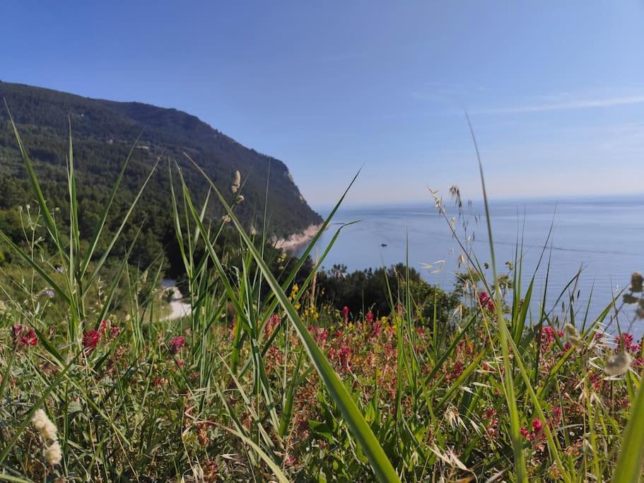 Host4All Casa Vacanze Falconara Marittima Zewnętrze zdjęcie